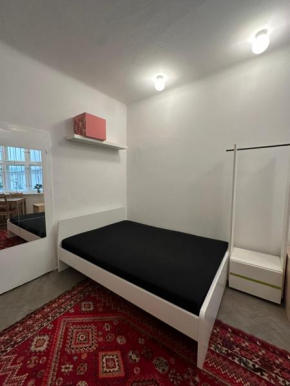 Apartment Bratislava center 13